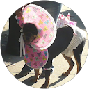 Marsinah Ramirez Buchan profile picture